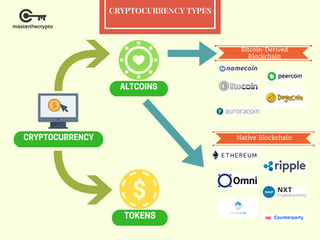 TP钱包(TokenPocket)钱包苹果版